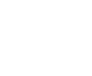 Evolution games at Spins Bro Casino